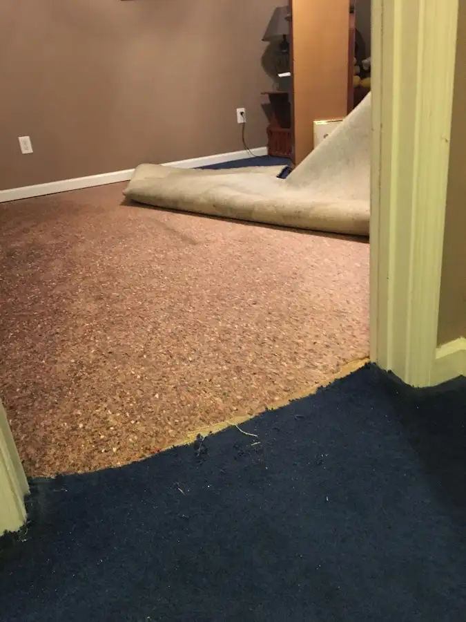 Carpet pad removal revealing water damage during Water Mitigation Services in Brighton