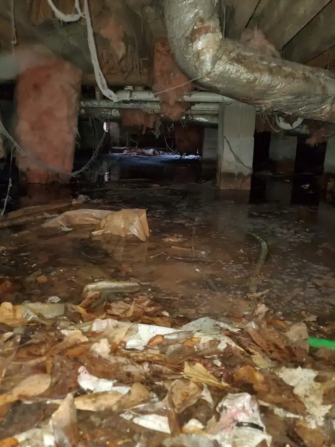 Crawl space flood assessment for Commercial Water Damage Restoration in Brighton